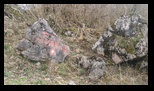 Majdanpek -26-02-2024 - Bogdan Balaban